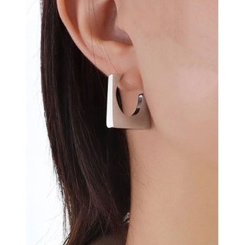 Steel earrings