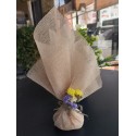 favor amaranth