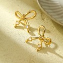 Stainless steel earrings