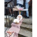 Στολισμός ελαφακι